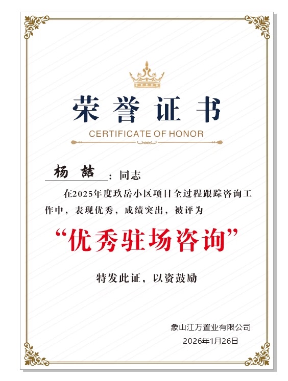 优秀驻场咨询 杨喆.jpg