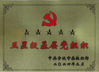 2024年度 五星级基层党组织
