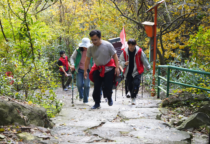 DSC08746.jpg