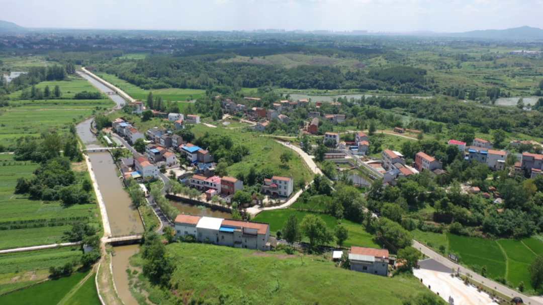 2.png 2.png
